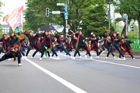 札幌YOSAKOIソーラン2012-南大通り会場-05