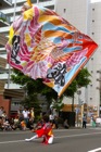 札幌YOSAKOIソーラン2012-南大通り会場-68